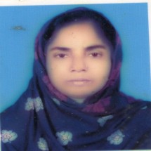 নারগিস পারভীন